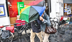 people with umbrellas in the rain