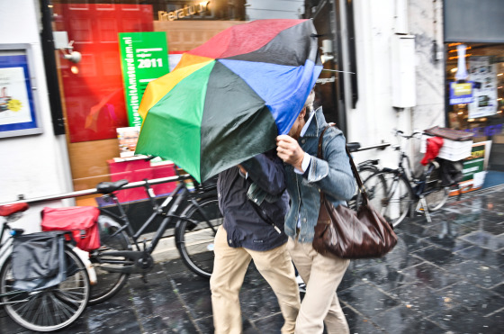 people with umbrellas in the rain