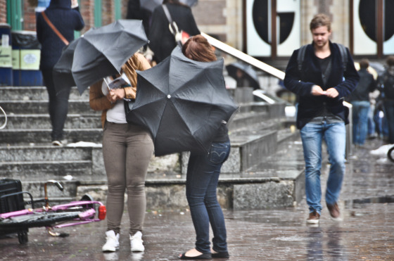 People with umbrellas in wind and rain
