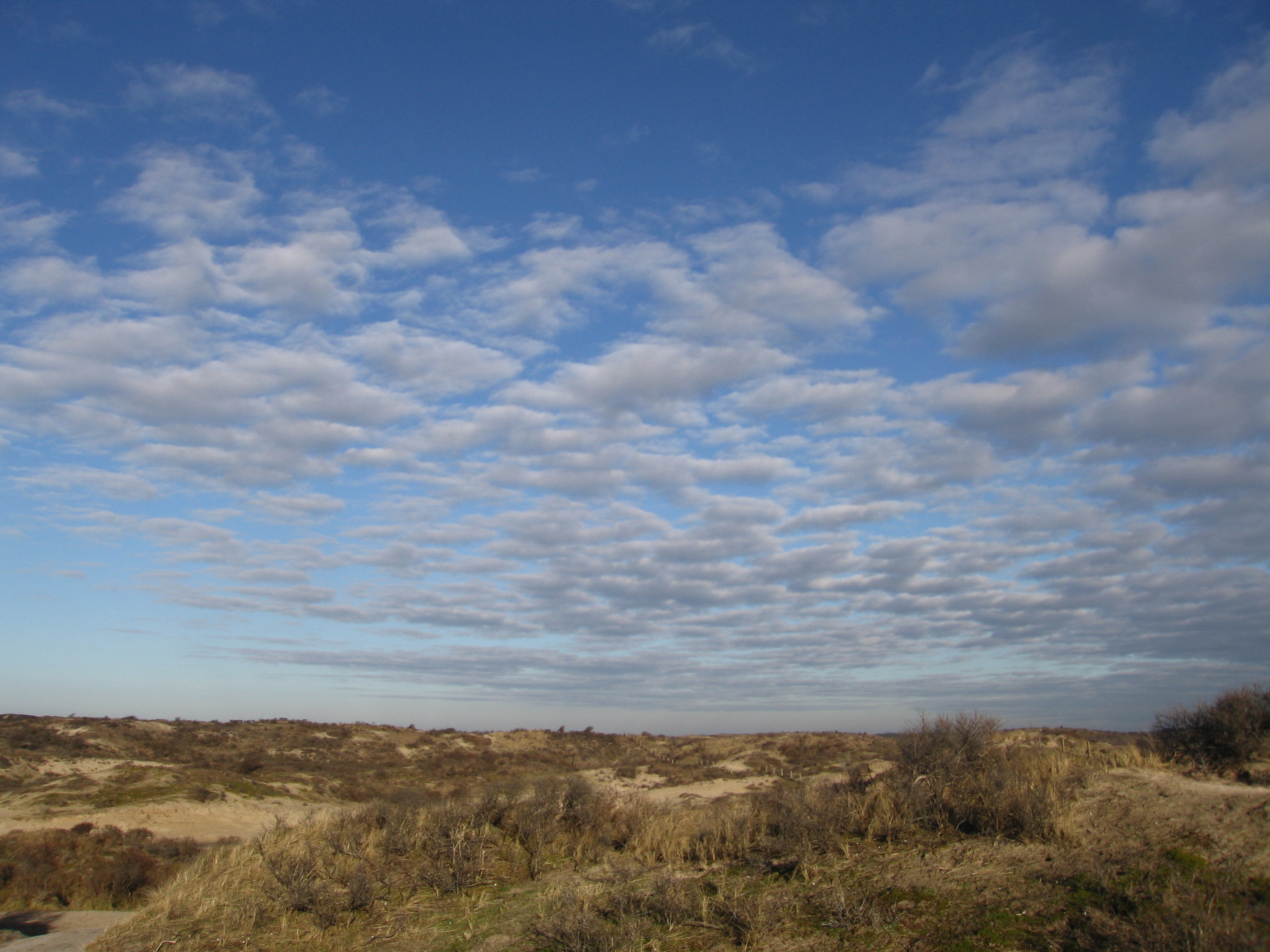 dunes with big sky