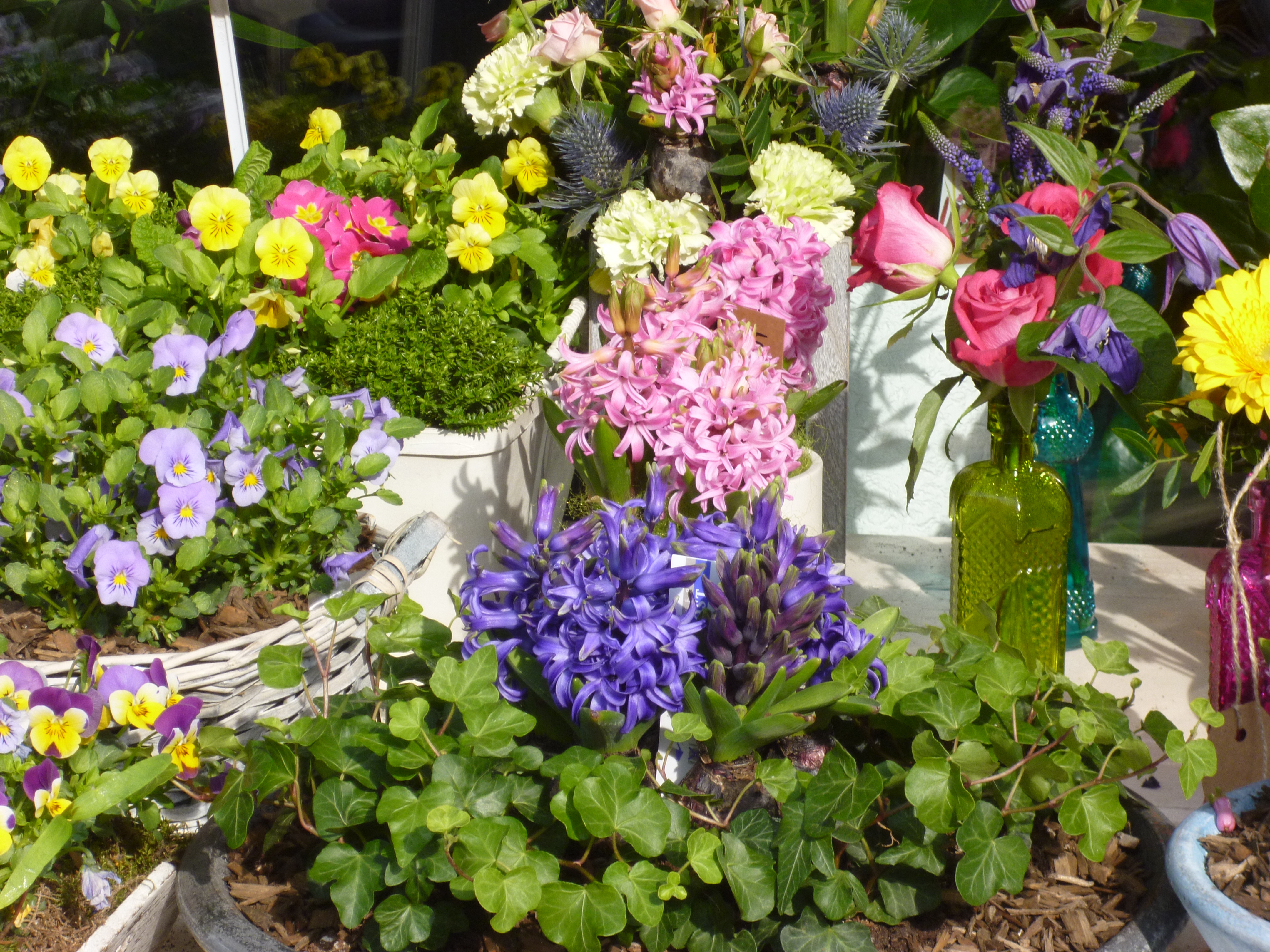 spring flowers at a flower shop