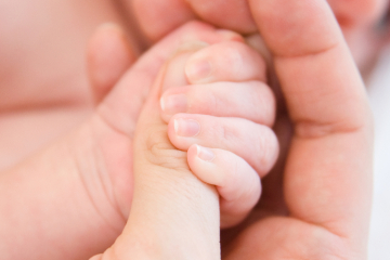 small child is held by the hand the parent