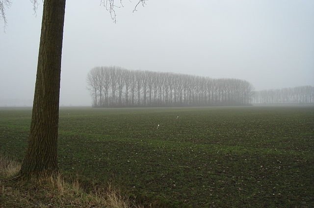 640px-Hertogin_Hedwigepolder_3_2012_02_27