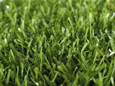 artificial turf ten cate