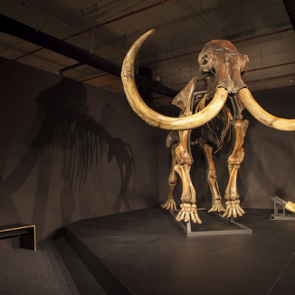 Giants of the Ice Age