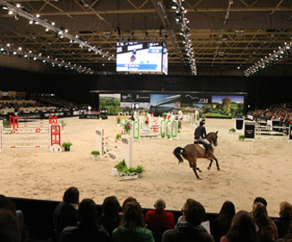 Show jumping