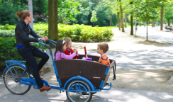 Young girl transporting children in the cart . Amsterdam. Nether