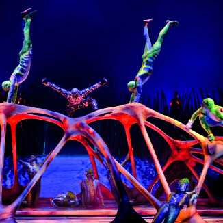 Cirque du Soleil