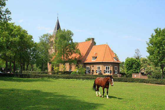 blaricum church horse countryside