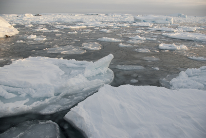 The ice around the Antarctic islands in the winter.