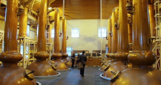 Dutch farmers grow barley for the Scottish whisky industry