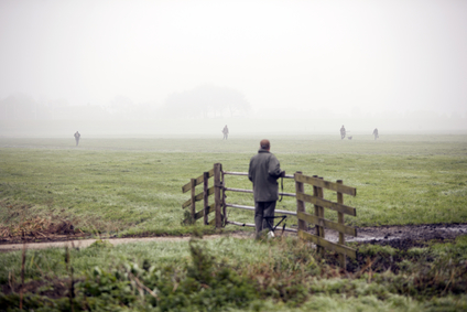 hunting party in meadow in the Netherlands