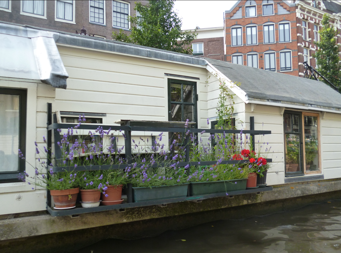 amsterdam houseboat flowers plants