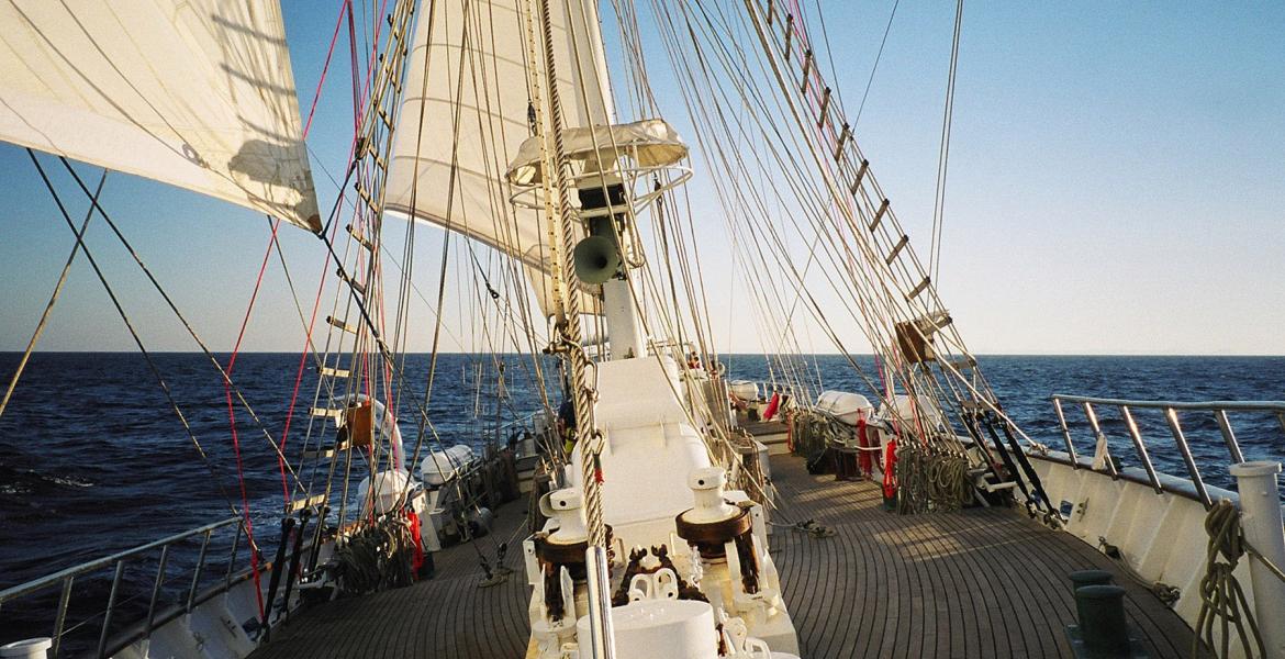 sail young endeavour