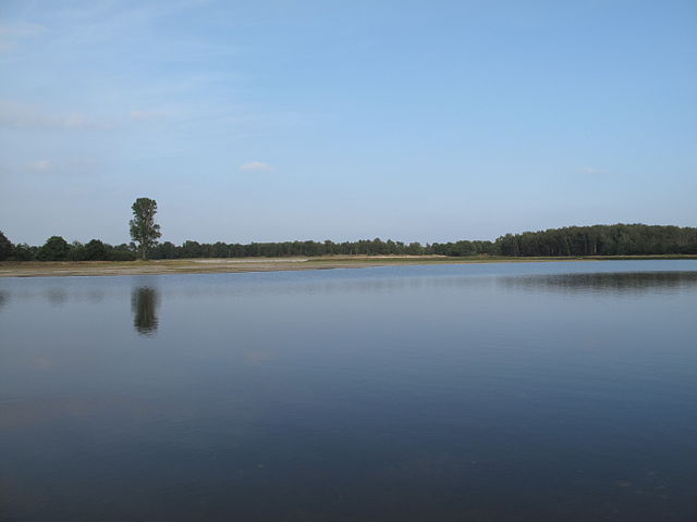 640px-Tussen_Wellerlooi_en_Twisteden,_meer_in_Maasduinen_2009-08-16_18.30