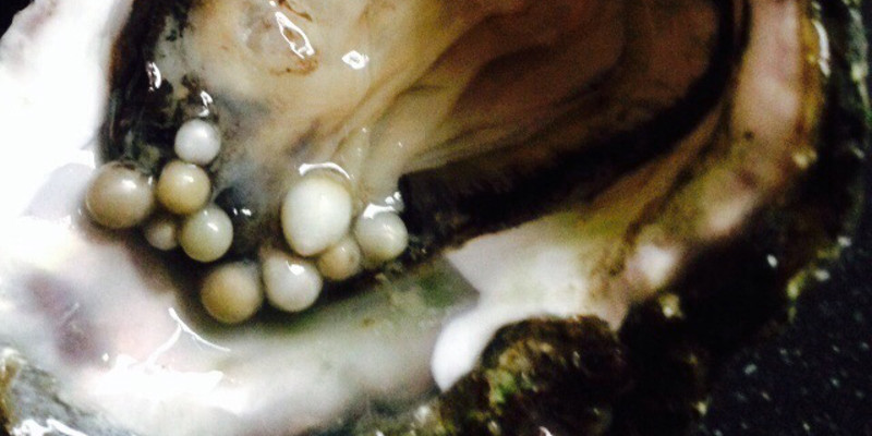ten pearls in one oyster