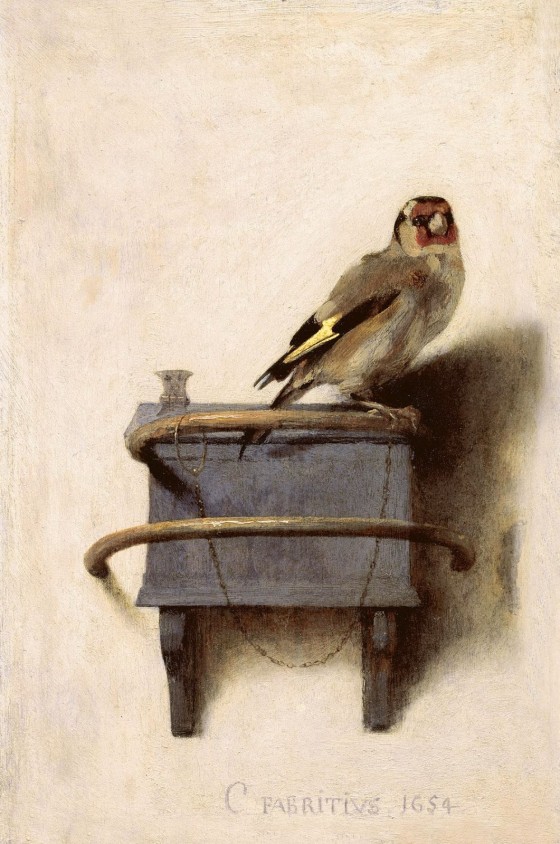 fabritius the goldfinch
