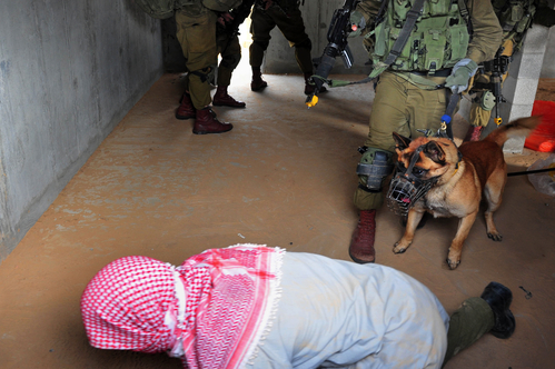 Israeli Army Exercise; Urban Warfare