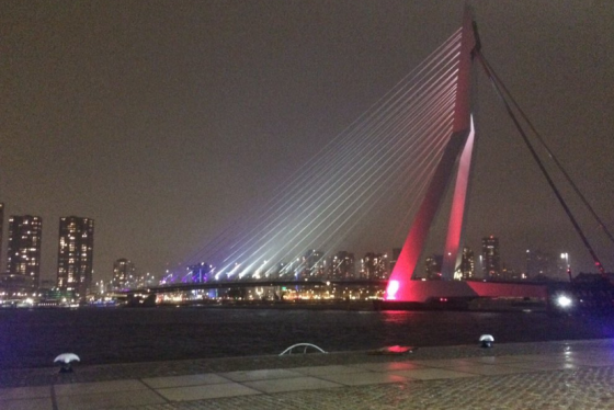 Erasmus bridge in Rotterdam