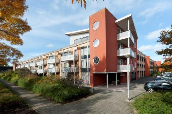 Housing corporation homes in Zaanstad. Photo: Rochdale