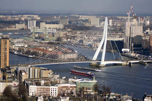 erasmus bridge rotterdam