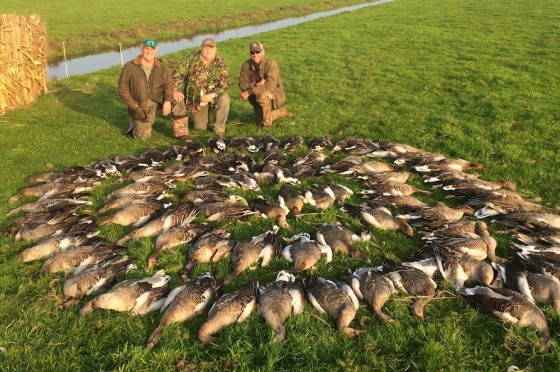 netherlands-goose-hunt_8125-copy-2