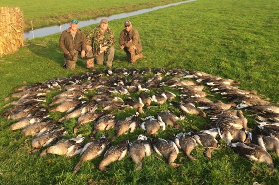 netherlands-goose-hunt_8125-copy-2