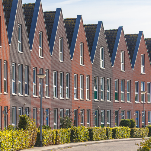 Houses in a Street with Hedgerows in Groningen