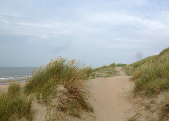 dunes with sea