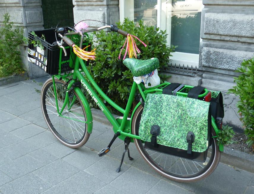 green bike amsterdam