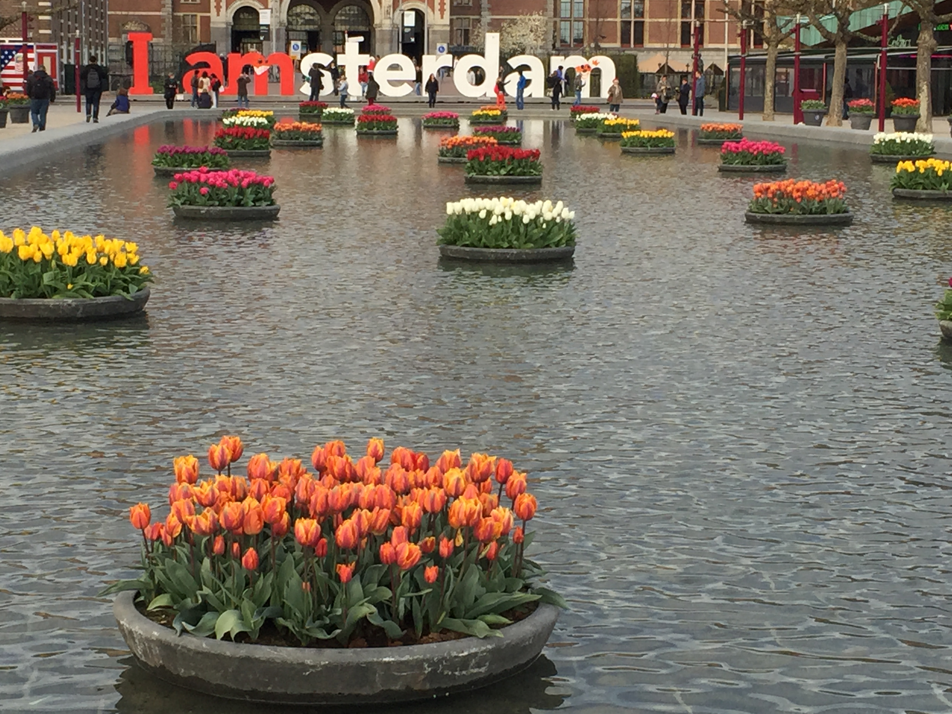 It's nearly spring, and Amsterdam is ready to celebrate with 500,000