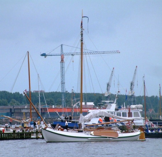 Photo: SJ de Waard via Wikimedia Commons