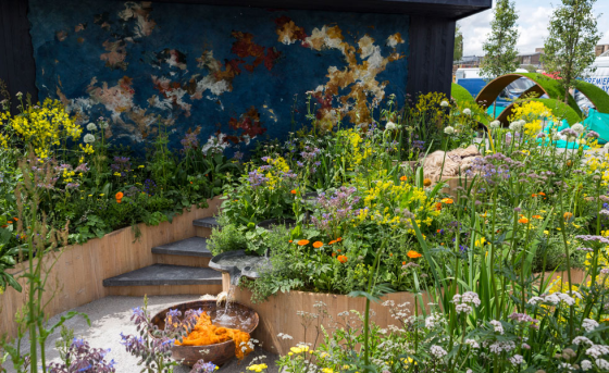 The Dutch garden features dye plants. Photo: RHS