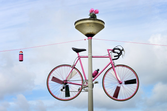 Pink bikes line the route of the Giro d'Italia through Gelderlands. Photo: Flip Franssen