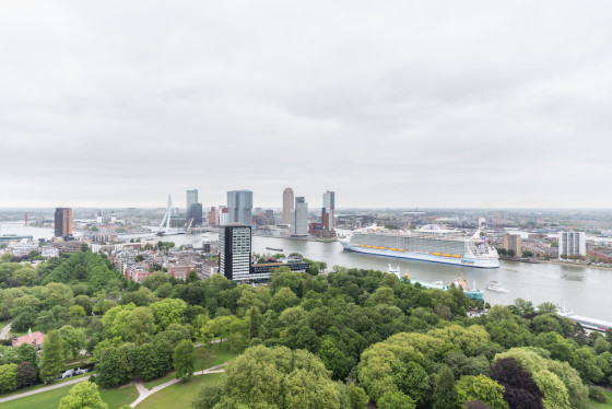 The Harmony of the Seas arrives in Rotterdam. Photo: Marc van der Stelt - MS Fotografie