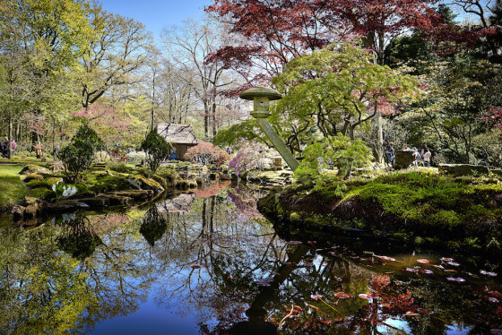 The garden is only open for two short periods a year. Photo: Phil Nijhuis