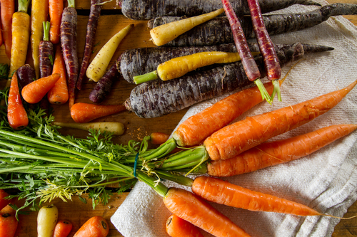 Multi-coloured carrots. Photo: Depositphotos.com