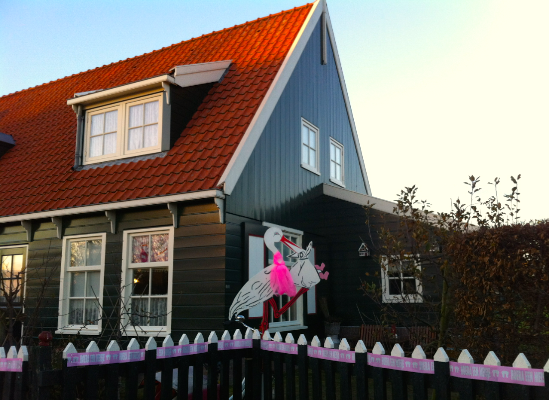 baby girl stork Dutch house