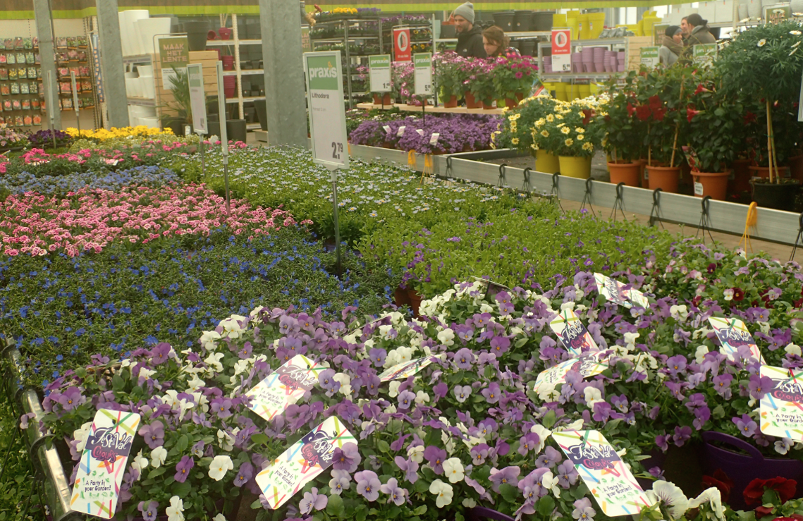 Plants on sale at a garden centre. Photo: DutchNews.nl