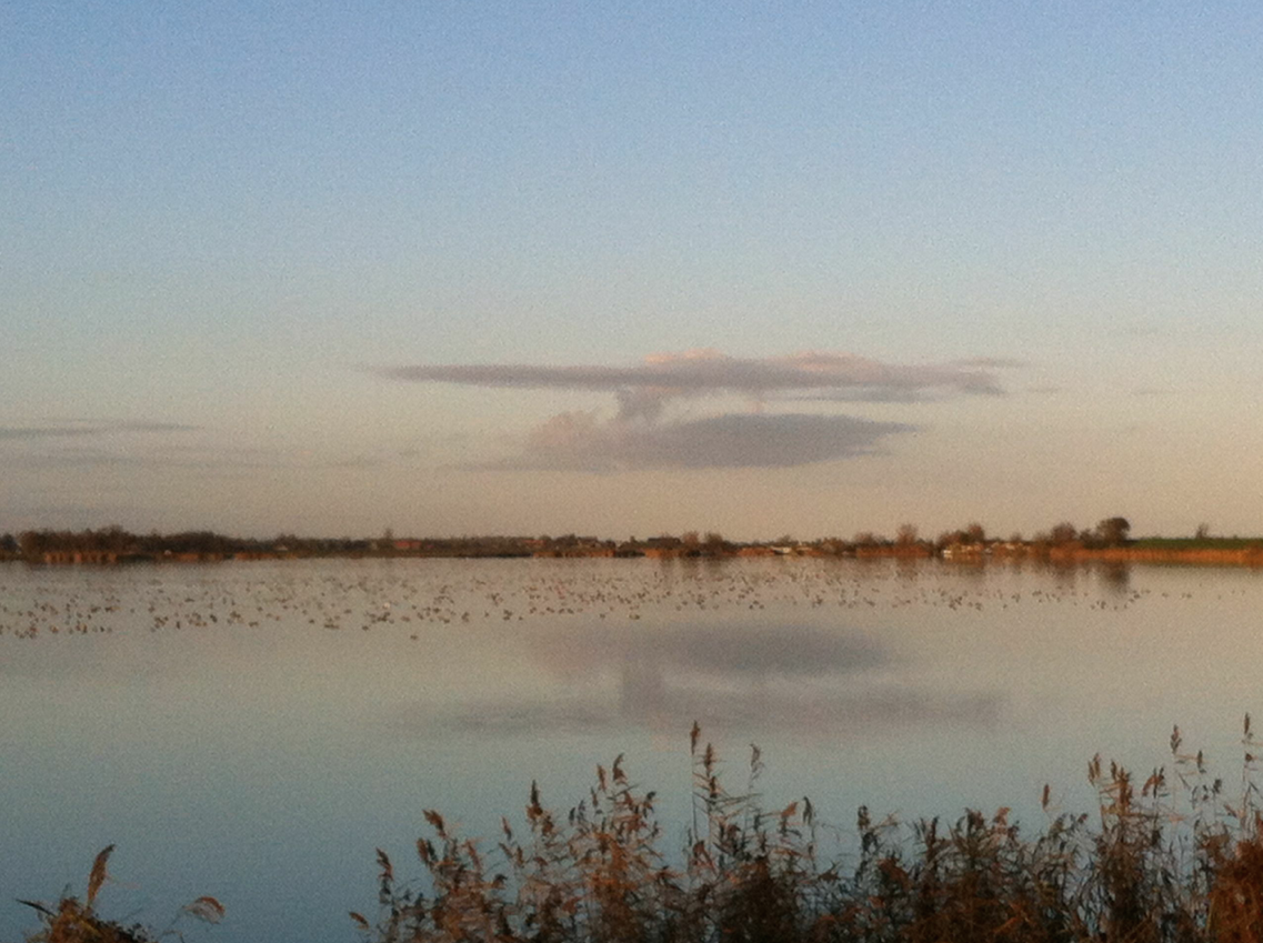 View from Marken.jpg