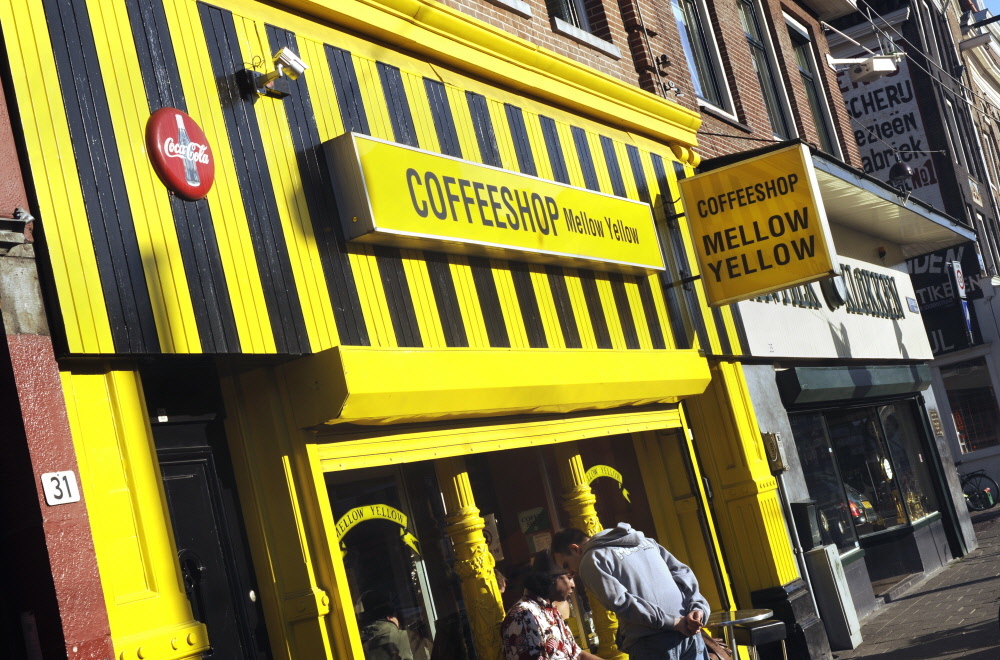 Mellow Yellow can trace its history back to 1973. Photo: Paul van Riel / HH.