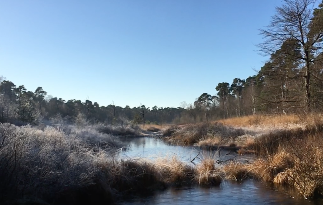 A frosty morning in Noord-Brabant. Photo: DutchNews.nl