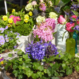 How Dutch startup Bloomon became the Netflix of flowers