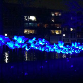 Video: Amsterdam’s Light Festival in time lapse