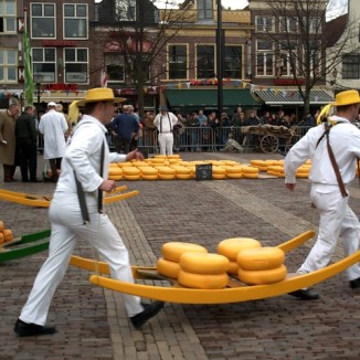 Ten Dutch cheeses