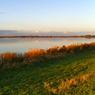 Yale to Be Paid Interest on Dutch Water Authority Bond From 1648