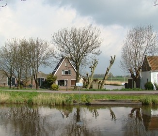 The Dutch are not innovative and ambitious enough on renewables