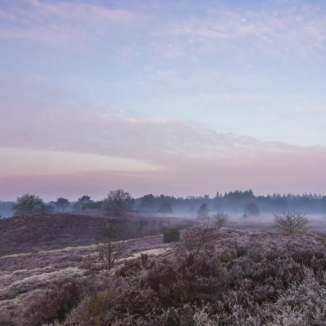 Video: Dutch Scapes – A timelapse journey through Dutch nature