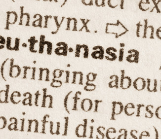 A woman’s final Facebook message before euthanasia: ‘I’m ready for my trip now…’