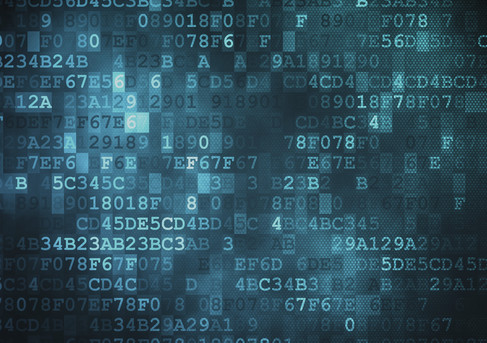 US agents 'used Danish network to spy on Dutch internet users'